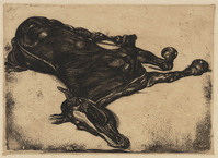 KG 09469
<br/>
Het dode paard
<br/>
<em>Dupont, Pieter (1870-1911)</em>